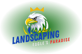 lo-edgard-ner-rev-2025.fw-3_.fw